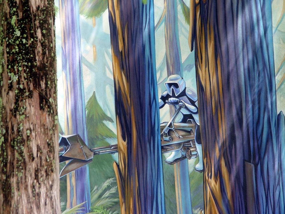 Endor the forest moon