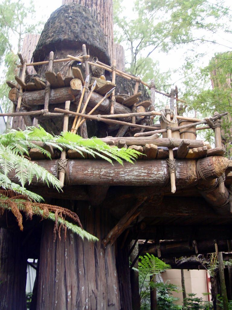 Endor the forest moon