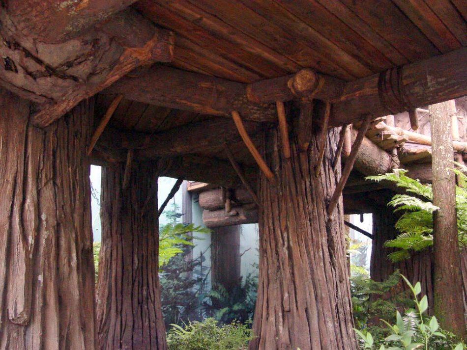 Endor the forest moon