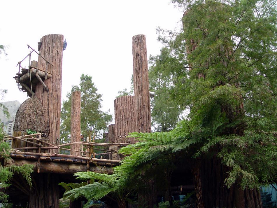 Endor the forest moon